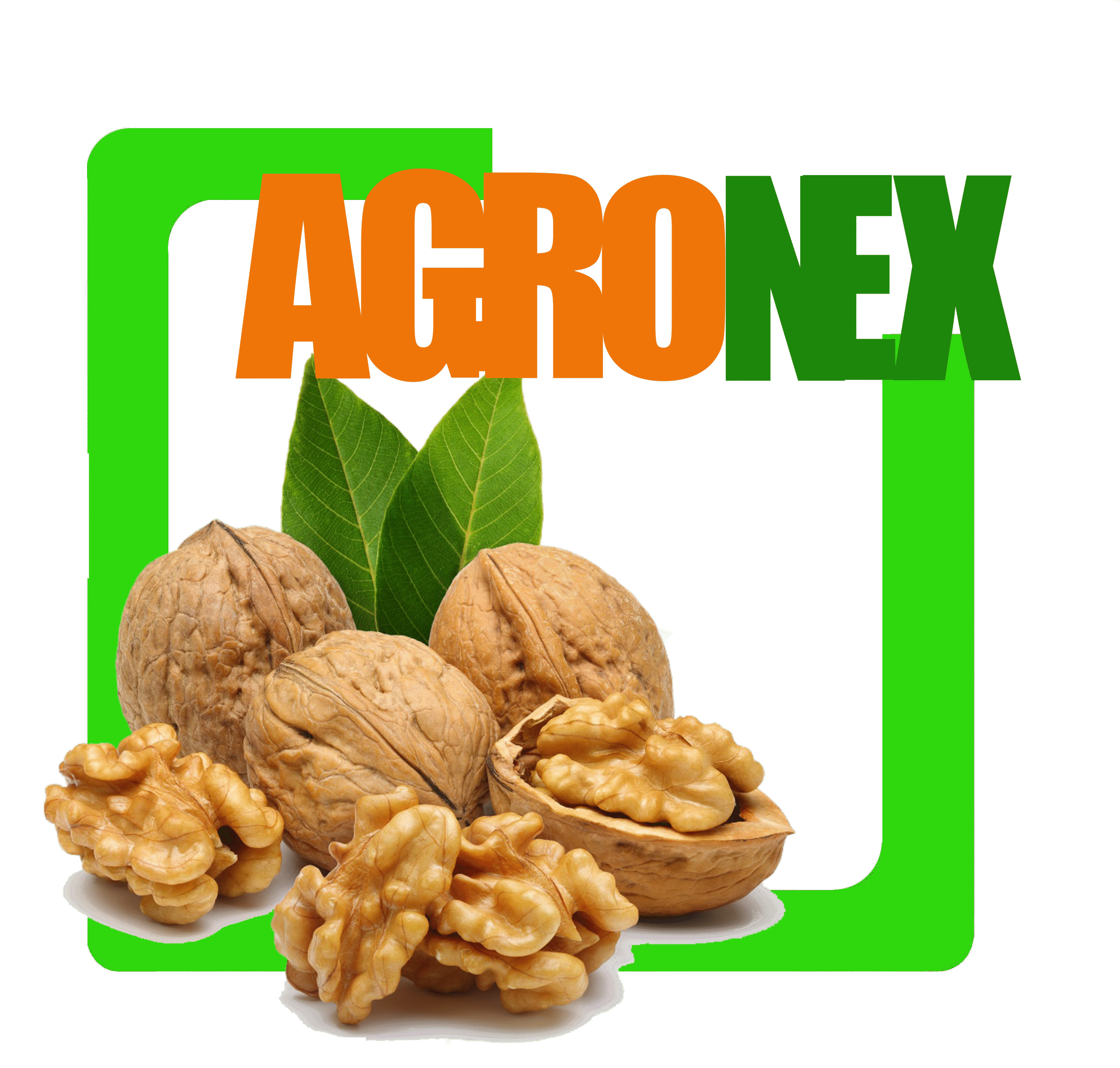 AGRO 5